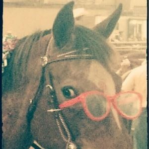 Meet your Posher, Camille